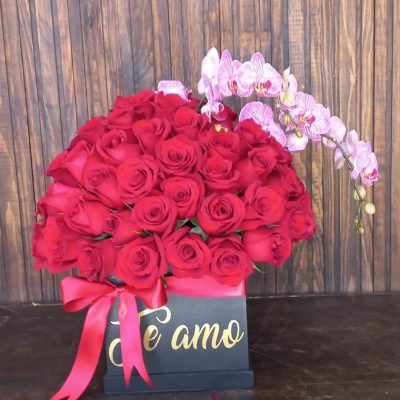 FB_IMG_1723704350373